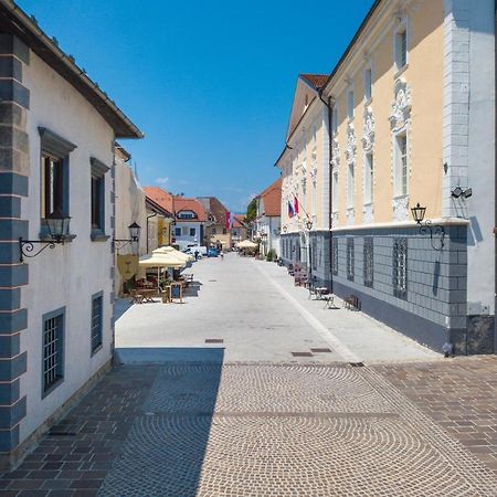 Vila Radolca Apartments & Rooms Radovljica Extérieur photo